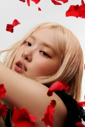Rosé Covers